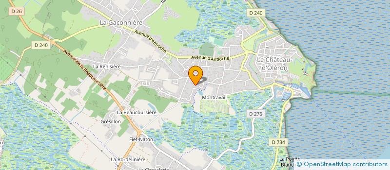 localisation de l'entreprise MONSIEUR DOMINIQUE FEVRIER  LE CHATEAU-D'OLERON