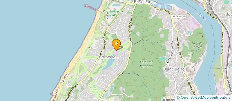 localisation de l'entreprise MONSIEUR DOMINIQUE FORGET  ANGLET