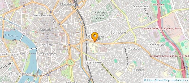 localisation de l'entreprise MONSIEUR DOMINIQUE FRIEDRICH à TOULOUSE