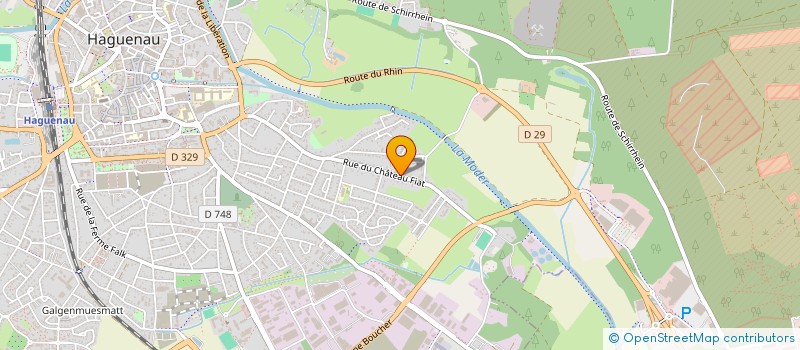 localisation de l'entreprise MONSIEUR DOMINIQUE FRITSCH  HAGUENAU