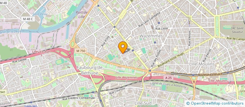 localisation de l'entreprise MONSIEUR DOMINIQUE GAUWE à LILLE