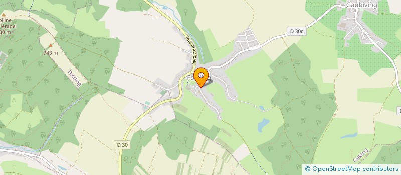 localisation de l'entreprise MONSIEUR DOMINIQUE GEHRING  FOLKLING