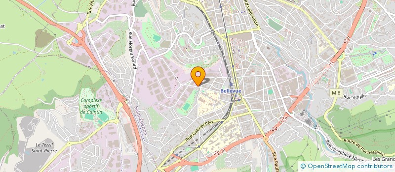 localisation de l'entreprise MONSIEUR DOMINIQUE GIRARD  SAINT-ETIENNE