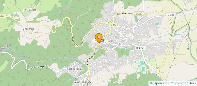 localisation de l'entreprise MONSIEUR DOMINIQUE GONZALEZ  CHATEL-GUYON