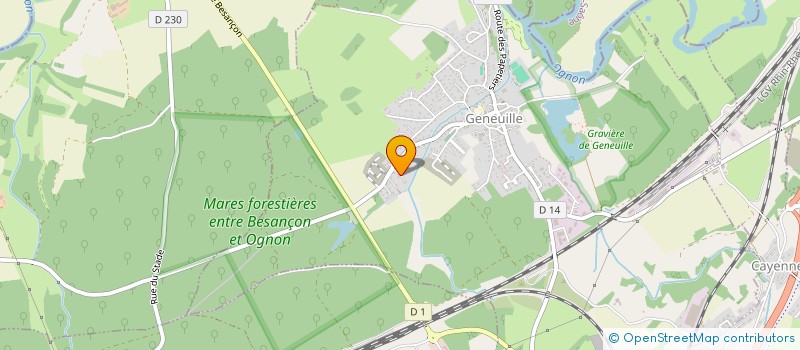 localisation de l'entreprise MONSIEUR DOMINIQUE GUIGNARD  GENEUILLE