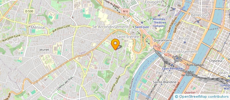 localisation de l'entreprise MONSIEUR DOMINIQUE GUIGOU  LYON