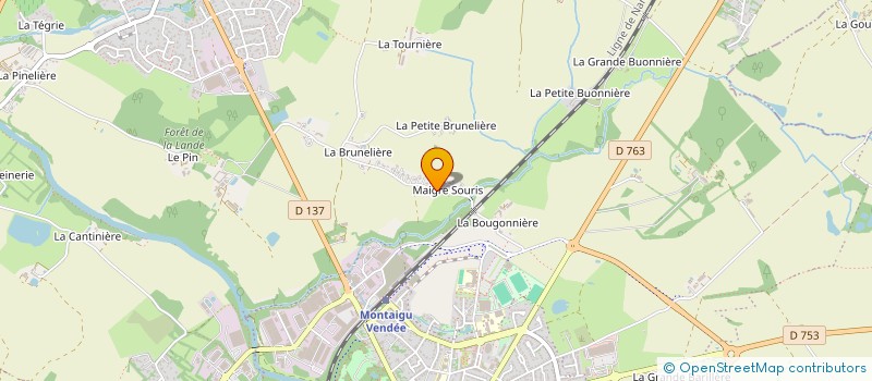 localisation de l'entreprise MONSIEUR DOMINIQUE HILLEREAU à MONTAIGU-VENDEE