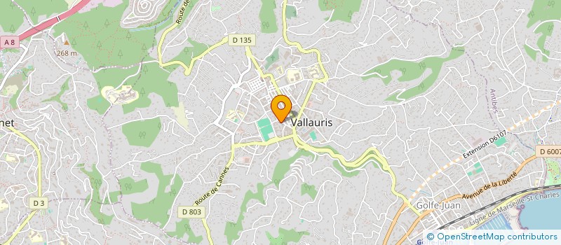 localisation de l'entreprise MONSIEUR DOMINIQUE JACOUBOT-JAKUBOWICZ  VALLAURIS