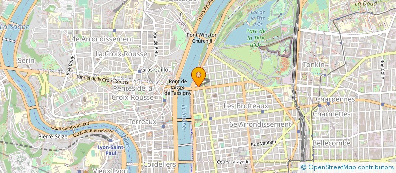 localisation de l'entreprise MONSIEUR DOMINIQUE JOLY  LYON