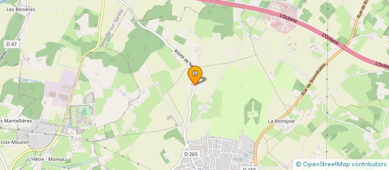 localisation de l'entreprise MONSIEUR DOMINIQUE JOUY  SARGE-LES-LE-MANS