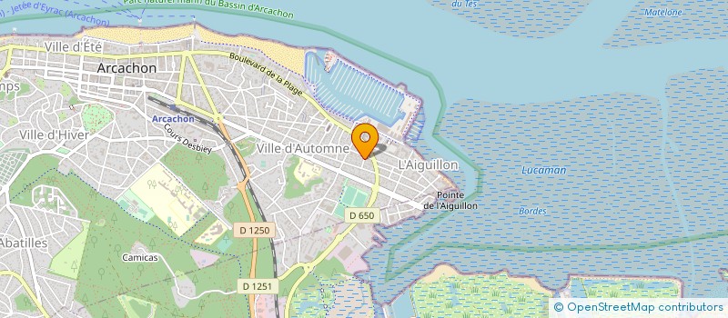 localisation de l'entreprise MONSIEUR DOMINIQUE LABORDE  ARCACHON