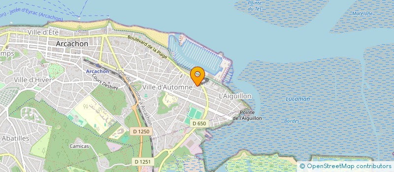 localisation de l'entreprise MONSIEUR DOMINIQUE LAGAUZERE  ARCACHON