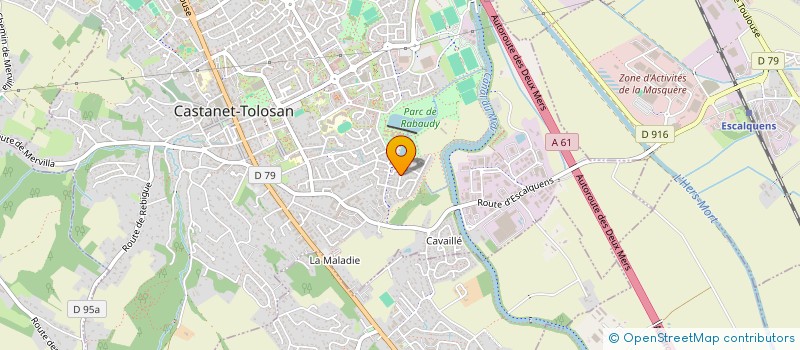 localisation de l'entreprise MONSIEUR DOMINIQUE LEDUC à CASTANET-TOLOSAN