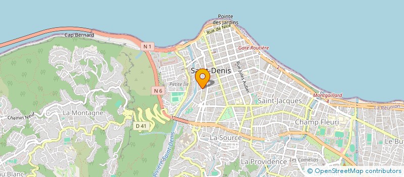 localisation de l'entreprise MONSIEUR DOMINIQUE LEDUC à SAINT-DENIS