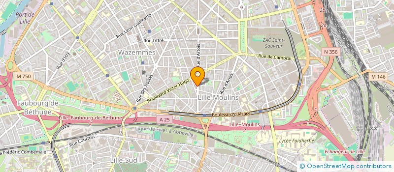 localisation de l'entreprise MONSIEUR DOMINIQUE LELOIR à LILLE