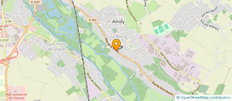 localisation de l'entreprise MONSIEUR DOMINIQUE LETIN à AMILLY