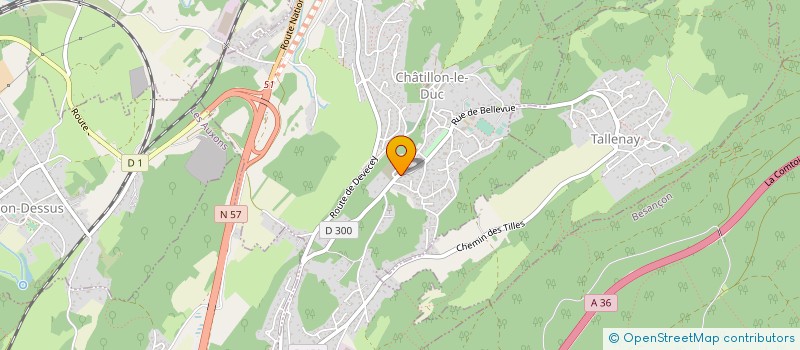 localisation de l'entreprise MONSIEUR DOMINIQUE LOIZEAU  CHATILLON LE DUC