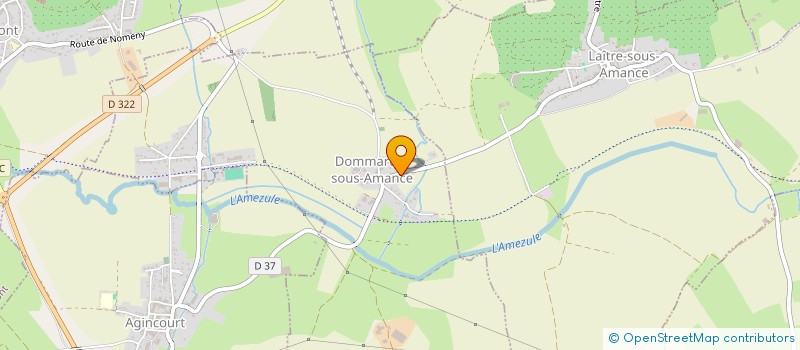 localisation de l'entreprise MONSIEUR DOMINIQUE LOUSSERT  DOMMARTIN-SOUS-AMANCE