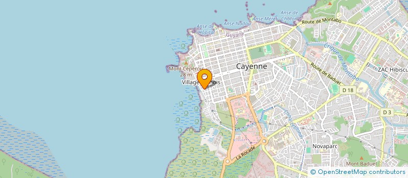 localisation de l'entreprise MONSIEUR DOMINIQUE MAGNAIN  CAYENNE