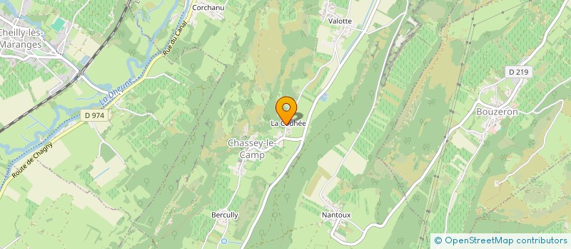 localisation de l'entreprise MONSIEUR DOMINIQUE MARTIN  CHASSEY-LE-CAMP