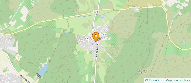 localisation de l'entreprise MONSIEUR DOMINIQUE MARTINEZ  SAINTE-CROIX-DE-QUINTILLARGUES