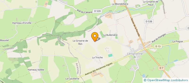 localisation de l'entreprise MONSIEUR DOMINIQUE MASSELIN  LENGRONNE