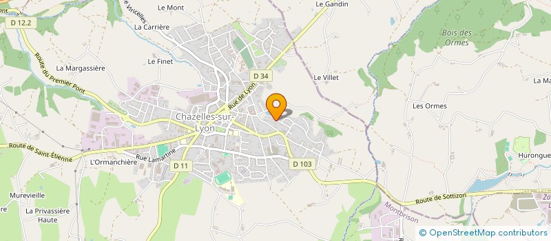 localisation de l'entreprise MONSIEUR DOMINIQUE MASSENOT  CHAZELLES-SUR-LYON