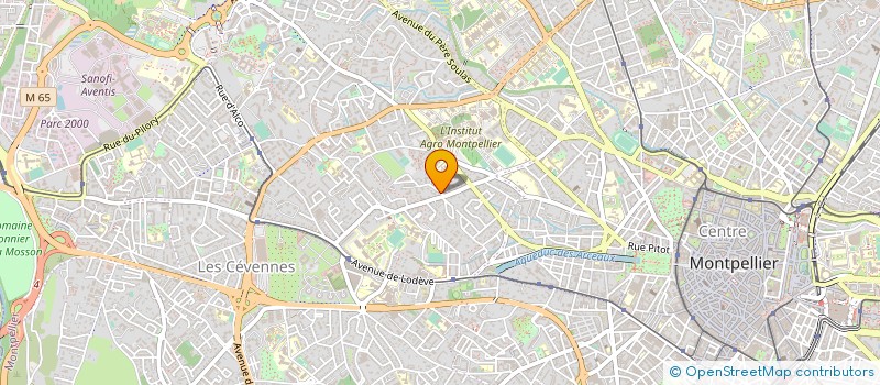 localisation de l'entreprise MONSIEUR DOMINIQUE MASSERAN à MONTPELLIER