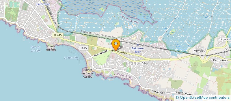 localisation de l'entreprise MONSIEUR DOMINIQUE MERLE  BATZ-SUR-MER