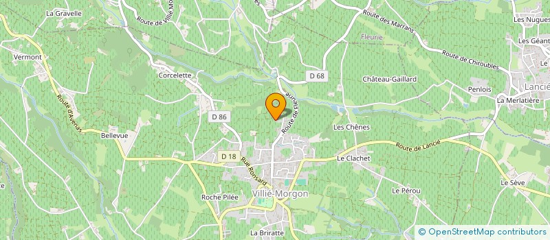 localisation de l'entreprise MONSIEUR DOMINIQUE MOREL  VILLIE-MORGON