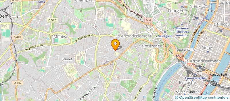 localisation de l'entreprise MONSIEUR DOMINIQUE NICOLLE à LYON