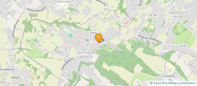 localisation de l'entreprise MONSIEUR DOMINIQUE PANI  SAINT-GENIES-BELLEVUE