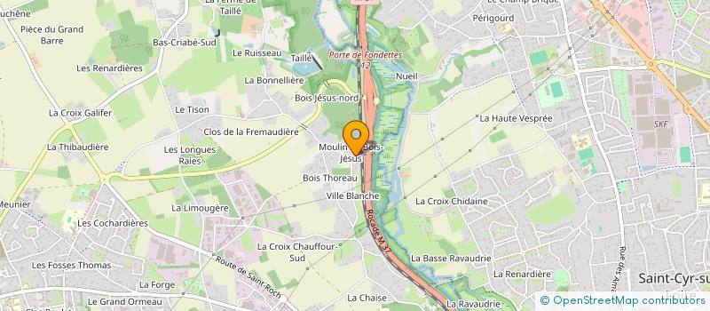 localisation de l'entreprise MONSIEUR DOMINIQUE PAVY  FONDETTES