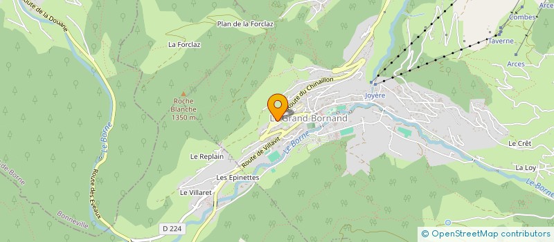 localisation de l'entreprise MONSIEUR DOMINIQUE PERRISSIN-FABERT à LE GRAND-BORNAND