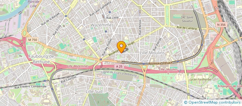 localisation de l'entreprise MONSIEUR DOMINIQUE PINTO FERREIRA  LILLE