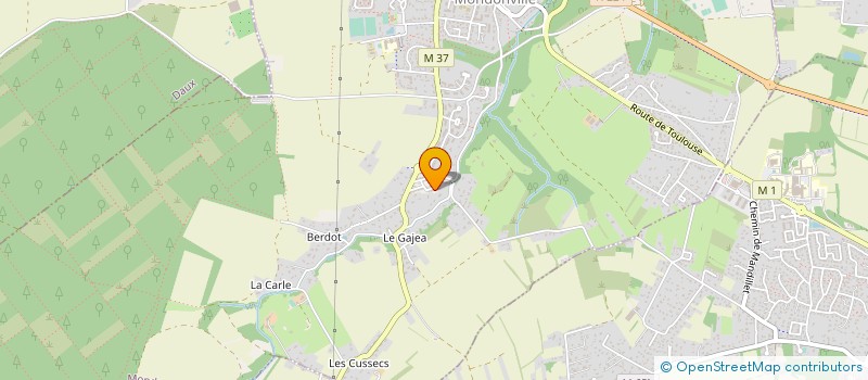 localisation de l'entreprise MONSIEUR DOMINIQUE PORTES  BLAGNAC