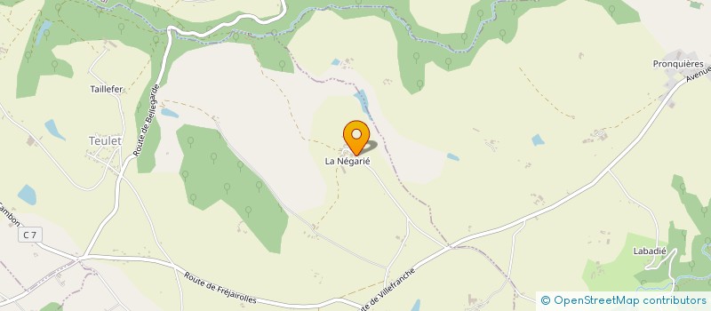 localisation de l'entreprise MONSIEUR DOMINIQUE PUJOL  MOUZIEYS-TEULET