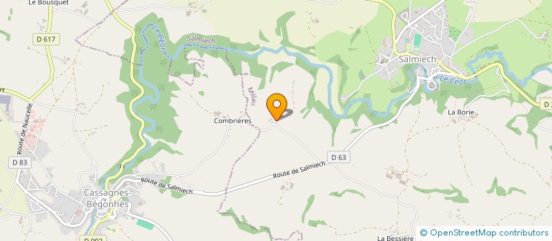 localisation de l'entreprise MONSIEUR DOMINIQUE REMOLU  SALMIECH