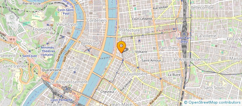 localisation de l'entreprise MONSIEUR DOMINIQUE RICHARD  LYON