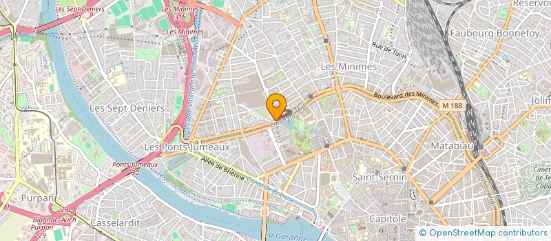localisation de l'entreprise MONSIEUR DOMINIQUE RIERA à TOULOUSE