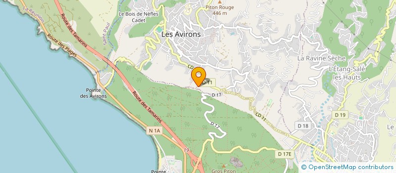 localisation de l'entreprise MONSIEUR DOMINIQUE RIVIERE  LES AVIRONS