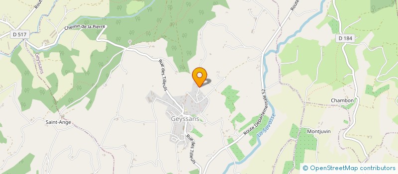 localisation de l'entreprise MONSIEUR DOMINIQUE RUAULT  GEYSSANS