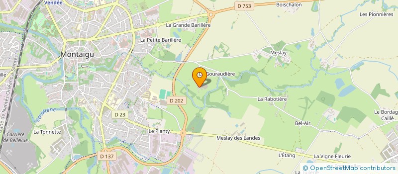 localisation de l'entreprise MONSIEUR DOMINIQUE RULLEAU à MONTAIGU-VENDEE