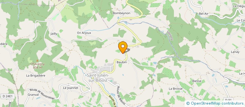 localisation de l'entreprise MONSIEUR DOMINIQUE SAUVANT  SAINT-JULIEN-SUR-BIBOST