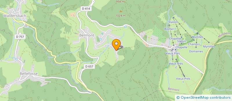 localisation de l'entreprise MONSIEUR DOMINIQUE SCHNEIDER  BELMONT