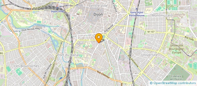 localisation de l'entreprise MONSIEUR DOMINIQUE SURINACH à DIJON