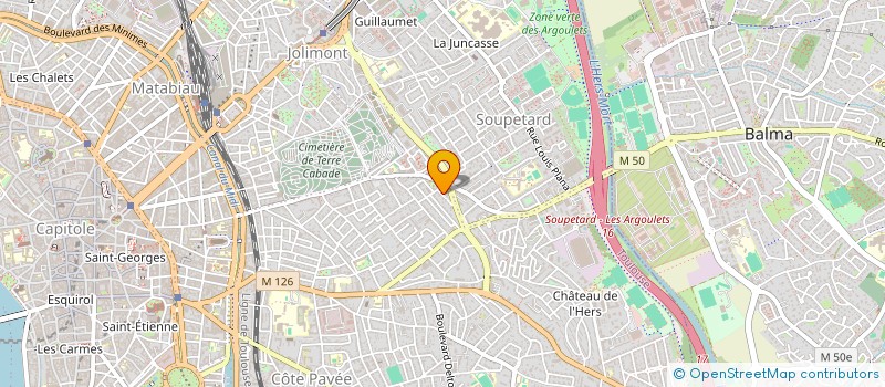 localisation de l'entreprise MONSIEUR DOMINIQUE TAILLEMITE  TOULOUSE