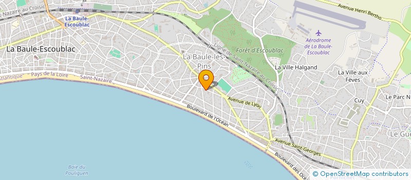 localisation de l'entreprise MONSIEUR DOMINIQUE TERRIOU  LA BAULE-ESCOUBLAC