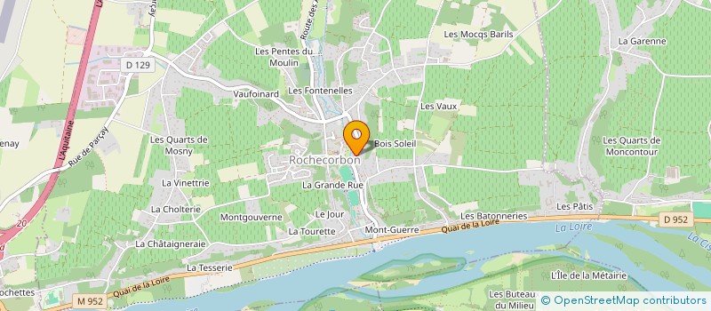 localisation de l'entreprise MONSIEUR DOMINIQUE THIERRY à ROCHECORBON