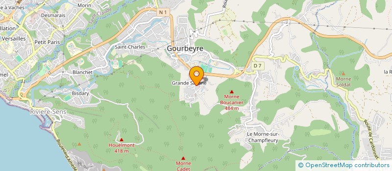 localisation de l'entreprise MONSIEUR DOMINIQUE THOMAS à GOURBEYRE